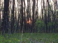 Сіряки з panoramio.com - Серяки