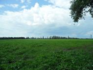 Новофастів з panoramio.com