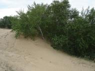 Подо-Калинівка з panoramio.com