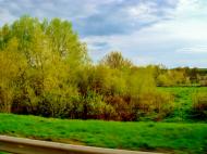 Лук'янівка з panoramio.com