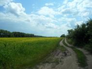 Сніжна з panoramio.com