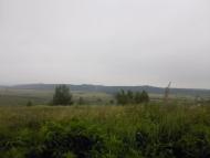 Курипів з panoramio.com