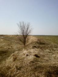 Великий Омеляник з panoramio.com