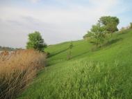 Радочини з panoramio.com