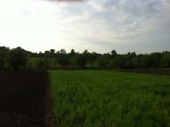 Іванівка з panoramio.com