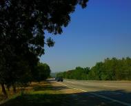 Левадки з panoramio.com