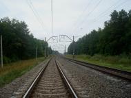 Цвітоха з panoramio.com