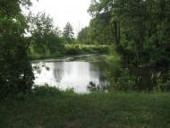 Новий Білоус з panoramio.com