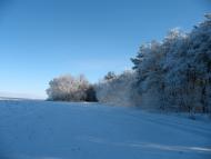 Нова Січ з panoramio.com