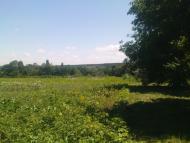 Тишківка з panoramio.com