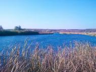 Островського з panoramio.com