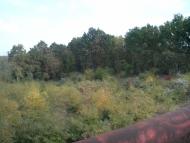 Лимани з panoramio.com