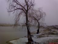 Красна Зорька з panoramio.com