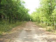 Великий Лог з panoramio.com