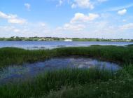 Боремель з panoramio.com