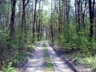 Вишняки з panoramio.com - Вишняки