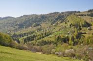 Бабин з panoramio.com - Бабин