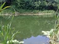 Геївка з panoramio.com