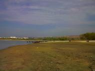 Дачне з panoramio.com