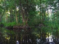 Стобихва з panoramio.com