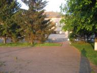 Бирлівка з panoramio.com