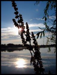 Рудня з panoramio.com