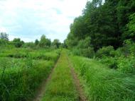 Новофастів з panoramio.com