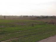 Халявин з panoramio.com