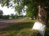 Іванівка з panoramio.com