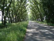 Русанів - Останні фото