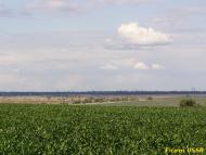 Миколаївка з panoramio.com