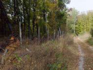 Городок з panoramio.com