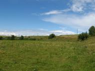 Хоменки з panoramio.com