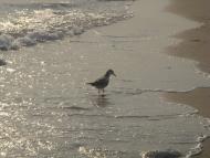 Круглоозерка з panoramio.com