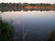 Базилівщина з panoramio.com