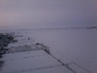 Дрофине з panoramio.com