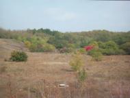 Лимани з panoramio.com