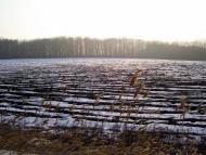 Бистре з panoramio.com