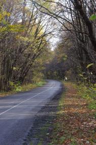 Сидорове з panoramio.com