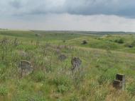 Вакуловка - Последние фото