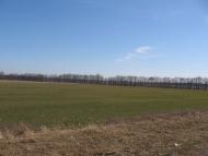 Малинівка з panoramio.com