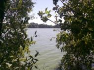 Буринь з panoramio.com