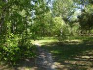 Загальці з panoramio.com