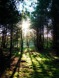 Мелені з panoramio.com