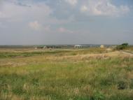 Трихати з panoramio.com