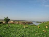 Пороги з panoramio.com
