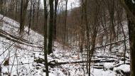 Ворочово з panoramio.com - Ворочево