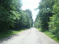 Осташки з panoramio.com