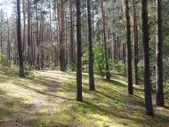 Долина з panoramio.com