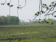 Улянівка з panoramio.com